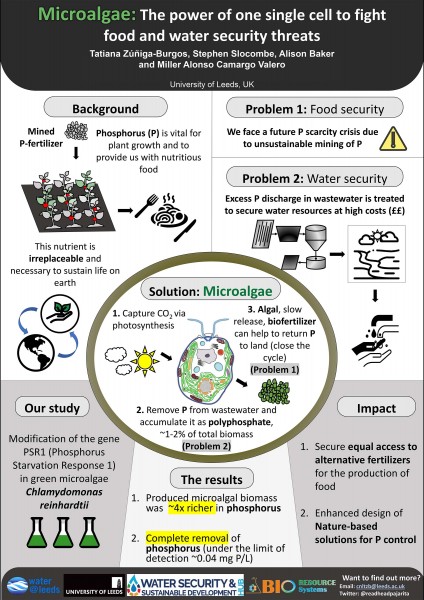 Research poster